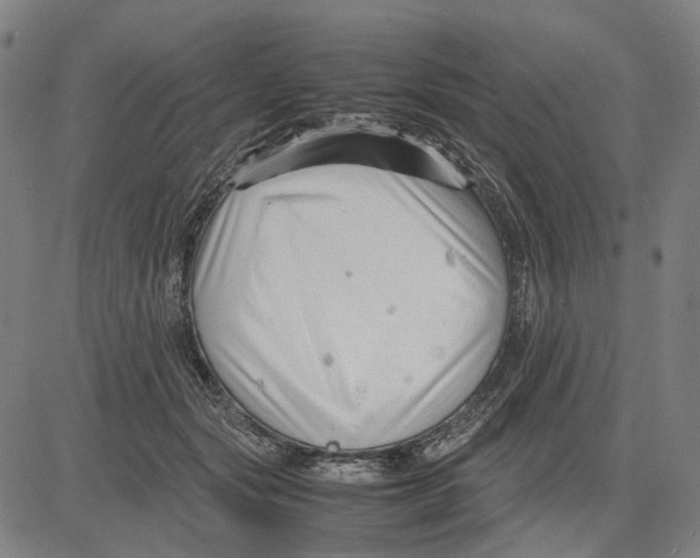 X0000083660557200703121814