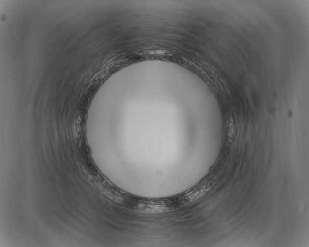 X0000083660559200703121814