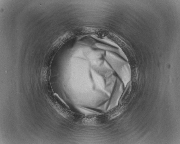 X0000083660560200703121814