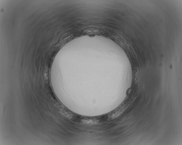 X0000083660561200703121814