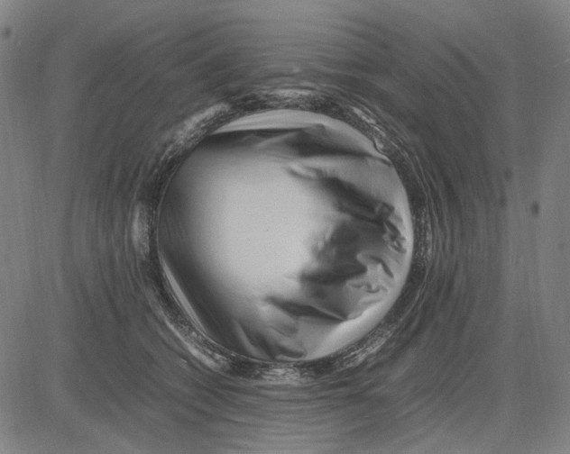 X0000083660562200703121814