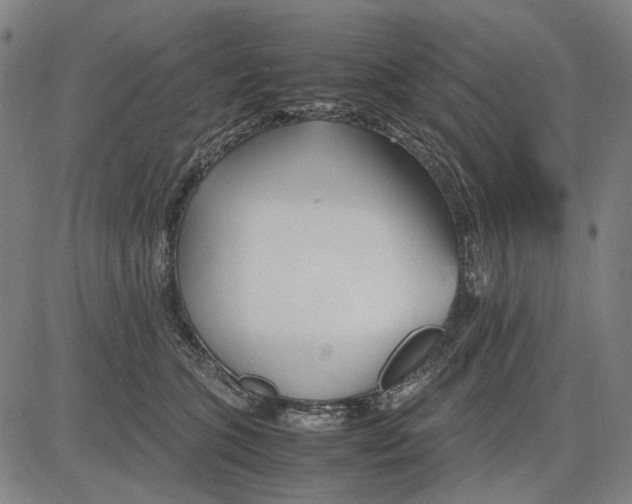 X0000083660563200703121814