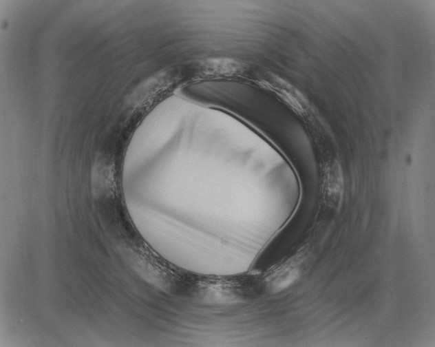 X0000083660564200703121814