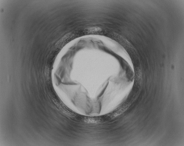 X0000083660565200703121814