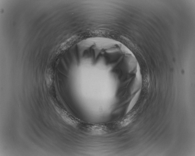 X0000083660566200703121814