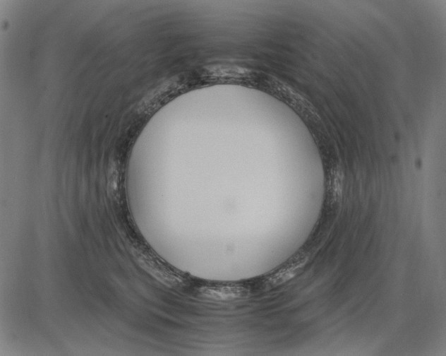 X0000083660567200703121814