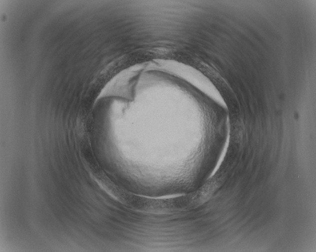 X0000083660568200703121814