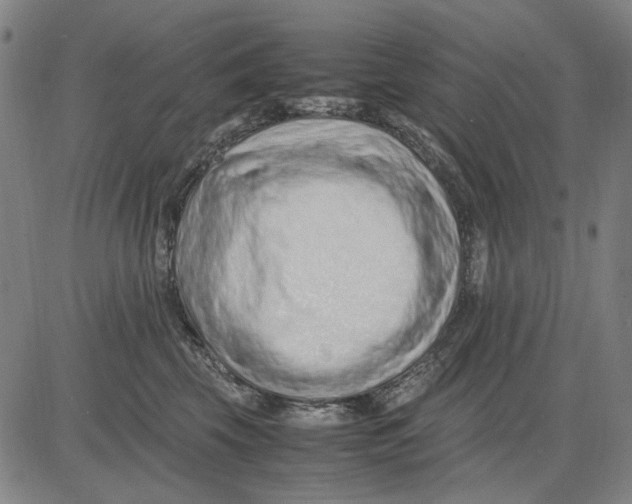 X0000083660569200703121814