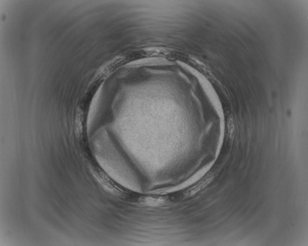 X0000083660570200703121814