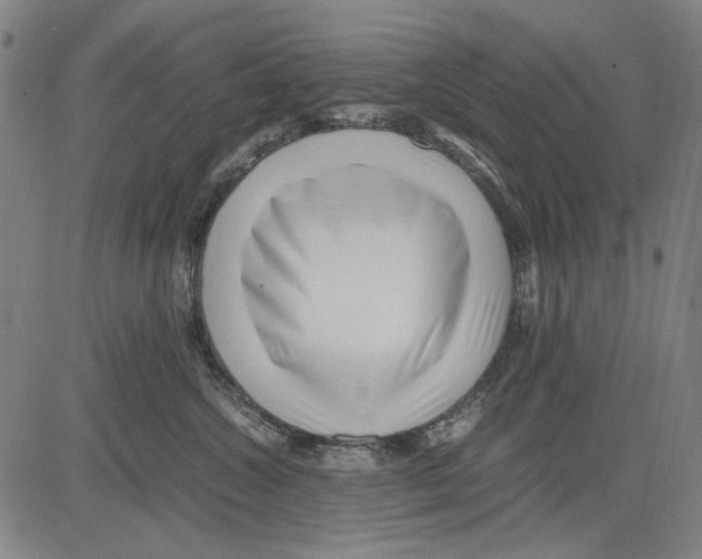 X0000083660572200703121814