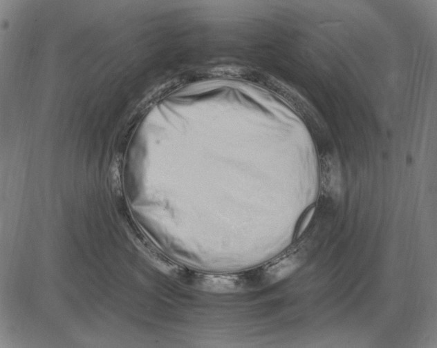 X0000083660573200703121814