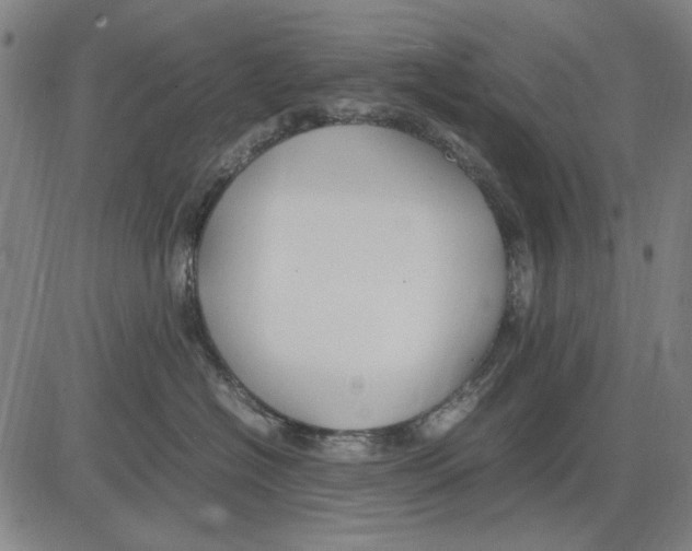 X0000083660574200703121814