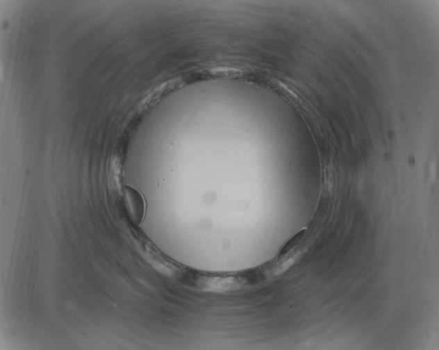 X0000083660575200703121814