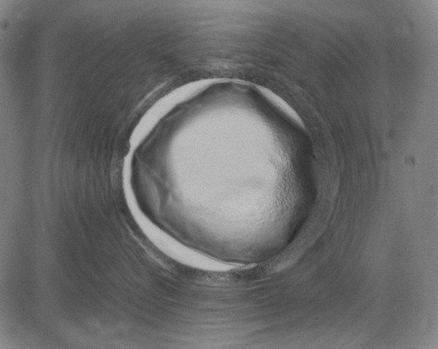 X0000083660576200703121815