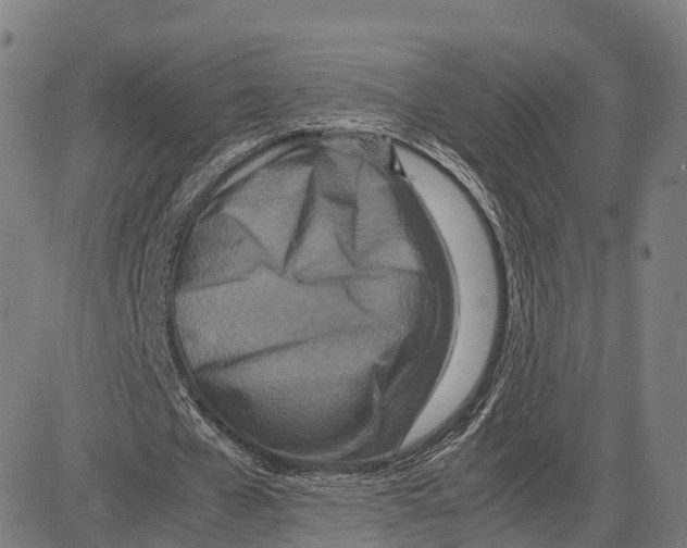 X0000083660577200703121814