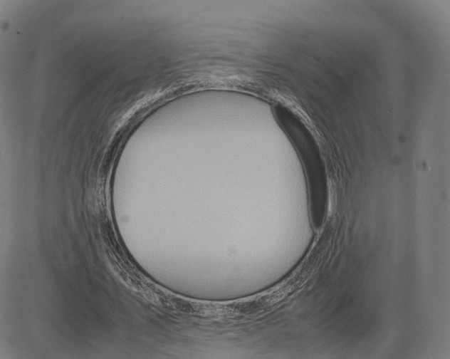 X0000083660579200703121814