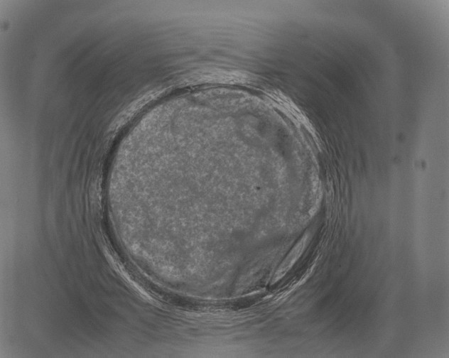 X0000083660581200703121814