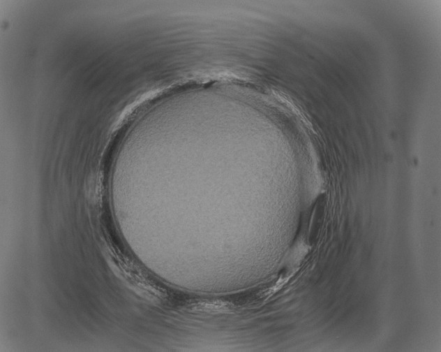 X0000083660583200703121814