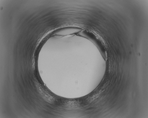 X0000083660584200703121814