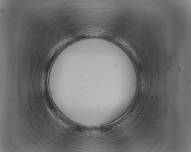 X0000083660586200703121814