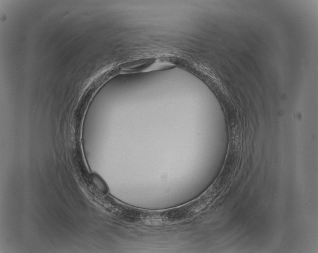 X0000083660587200703121814