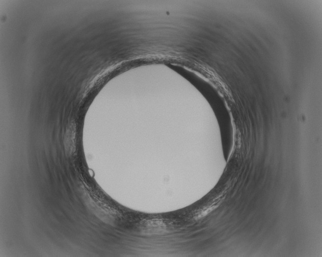 X0000083660588200703121814