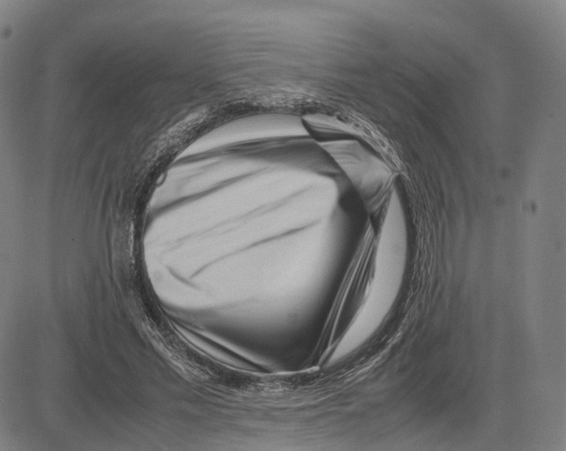 X0000083660589200703121814