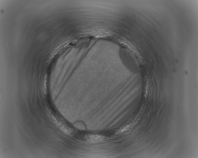 X0000083660590200703121813