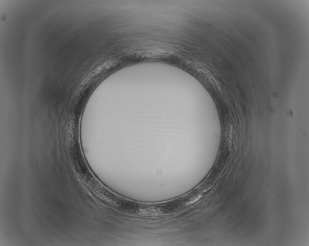 X0000083660591200703121813