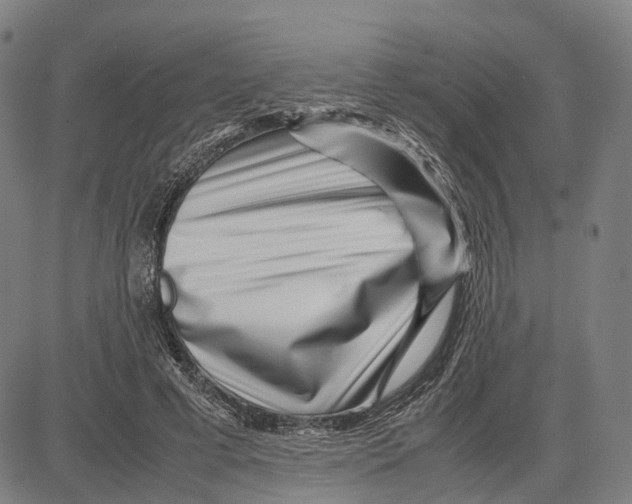 X0000083660593200703121813