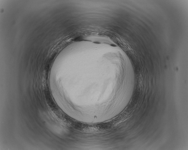 X0000083660594200703121813