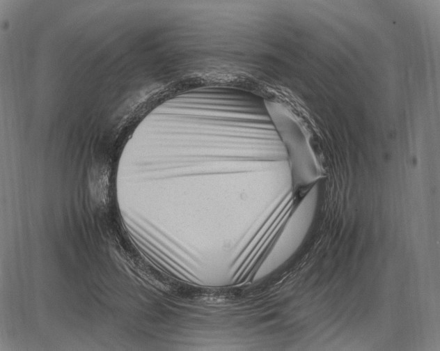 X0000083660596200703121813