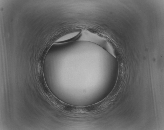 X0000083660597200703121813