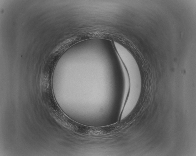 X0000083660599200703121813