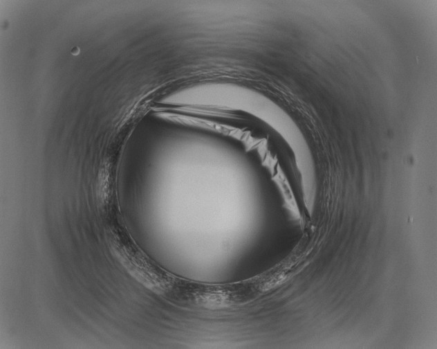 X0000083660600200703121813