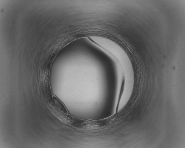 X0000083660601200703121813