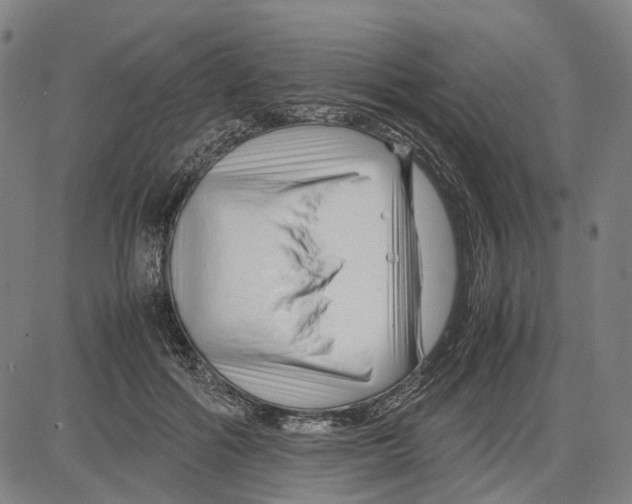 X0000083660602200703121813