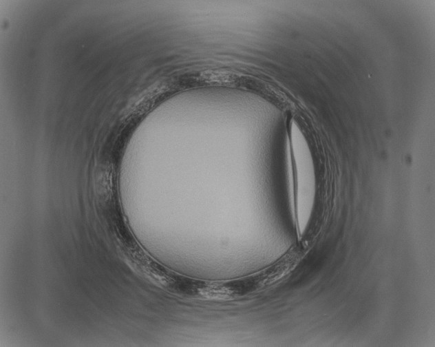 X0000083660603200703121813