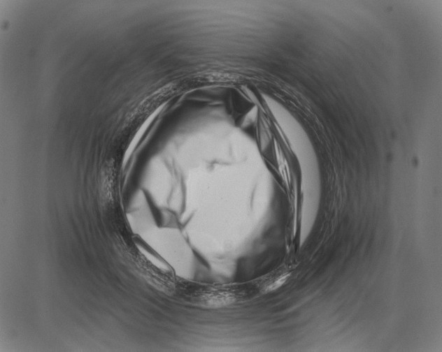 X0000083660604200703121813