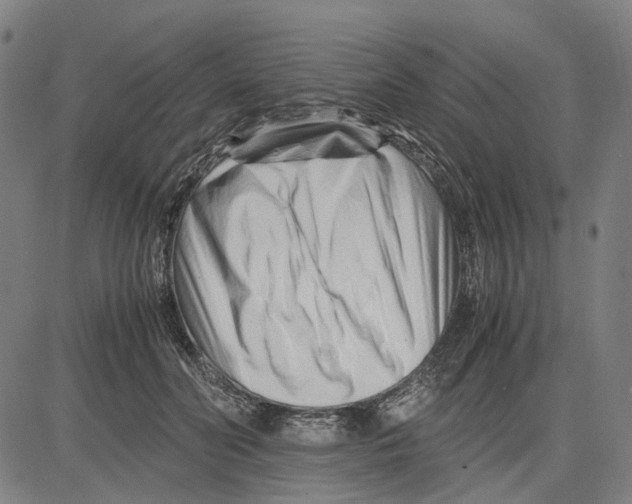 X0000083660606200703121813