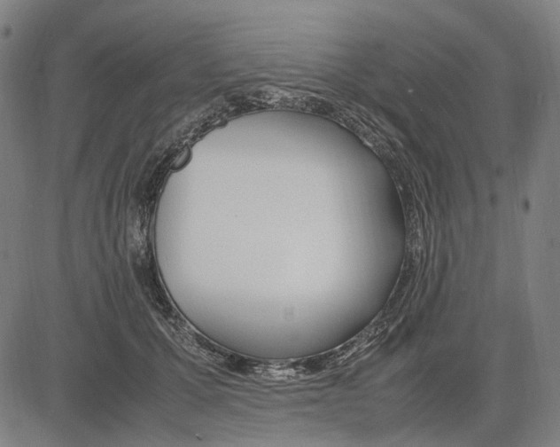 X0000083660607200703121813