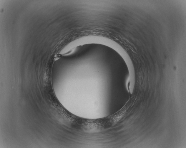 X0000083660608200703121813