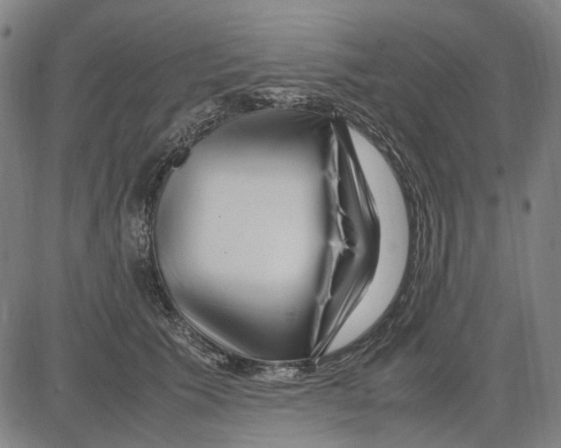 X0000083660609200703121813