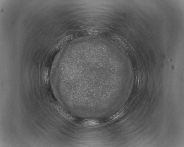 X0000083660610200703121813