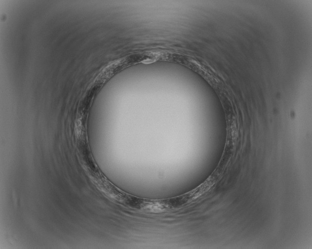 X0000083660611200703121813