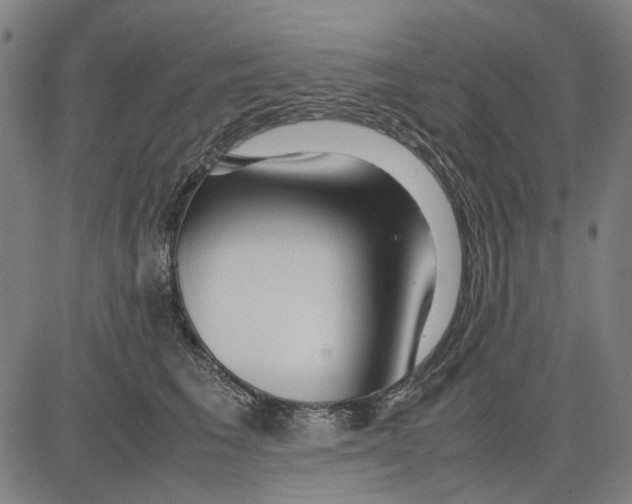 X0000083660613200703121813