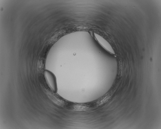 X0000083660614200703121813