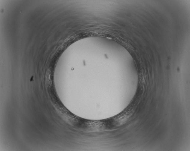 X0000083660615200703121813