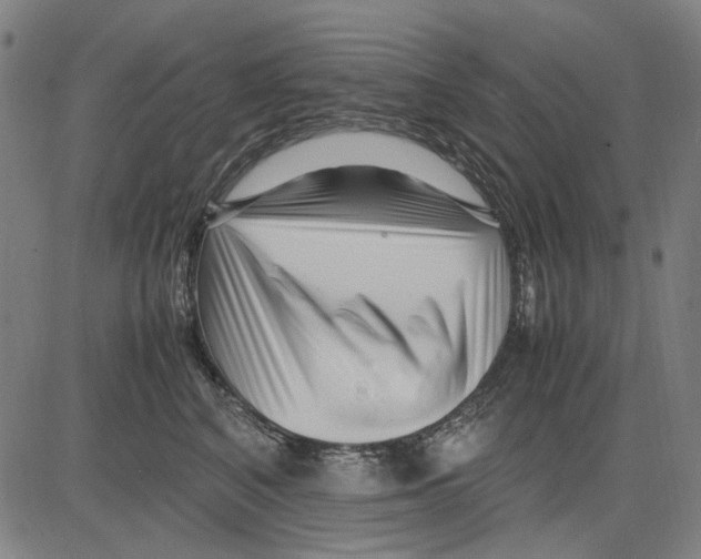 X0000083660616200703121813