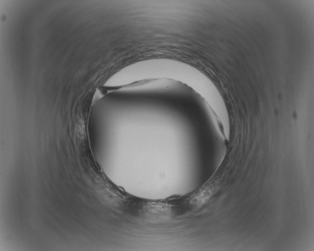 X0000083660617200703121813